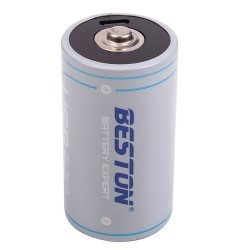 Baterija D įkraunama su USB-C lizdu, 1.5V, 4000mAh, Li-Ion