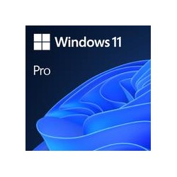 Software|MICROSOFT|Win 11 Pro 64Bit Eng Intl 1pk DSP OEI DVD|Win Pro|OEM|English|FQC-10528