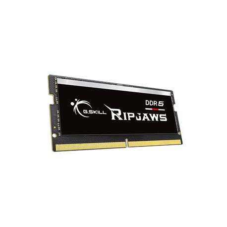 32 GB | DDR5 | 5600 MHz | PC/server | Registered No | ECC No