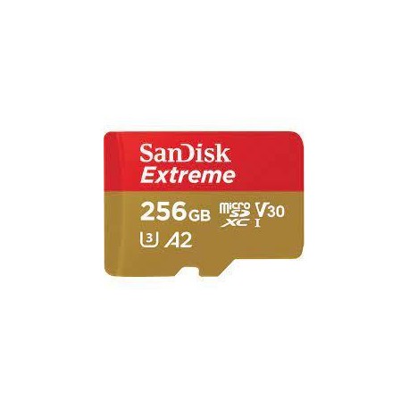 MEMORY MICRO SDXC 256GB UHS-I/W/A SDSQXAV-256G-GN6MA SANDISK
