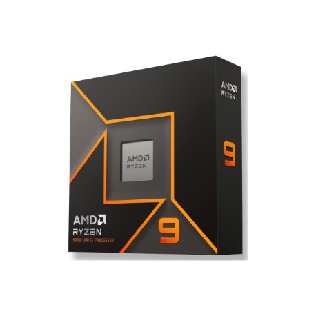 AMD Ryzen 9 9900X