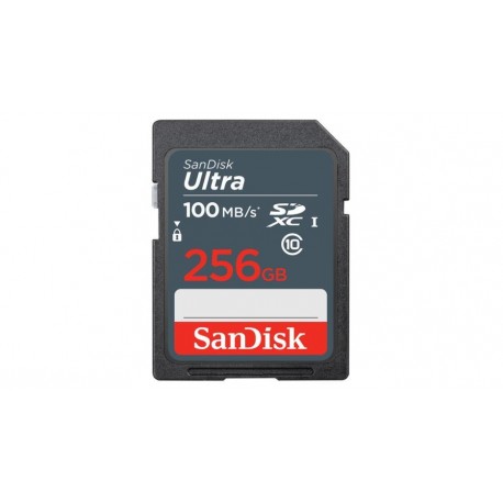 MEMORY SDXC 256GB UHS-I/SDSDUNR-256G-GN3IN SANDISK