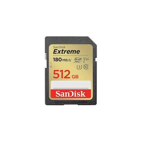 MEMORY SDXC 512GB UHS-1/SDSDXVV-512G-GNCIN SANDISK