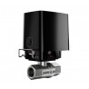 SMART VALVE 1/2"/WATERSTOP BLACK 52270 AJAX