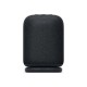 Sony SRS-LS1 LinkBuds Speaker Wireless Portable Speaker, Black | Sony