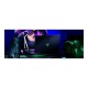 Razer Blade 16 | Black | 16 " | OLED | QHD+ | 2560 x 1600 pixels | 240 Hz | AMD Ryzen AI 9 | 365 | 64 GB | LPDDR5X | Solid-state