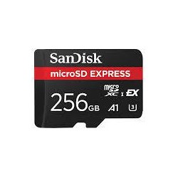 MEMORY MICRO SDXC 256GB UHS-I/SDSQXFN-256G-GN4NN SANDISK