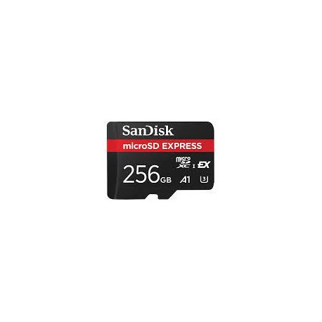 MEMORY MICRO SDXC 256GB UHS-I/SDSQXFN-256G-GN4NN SANDISK