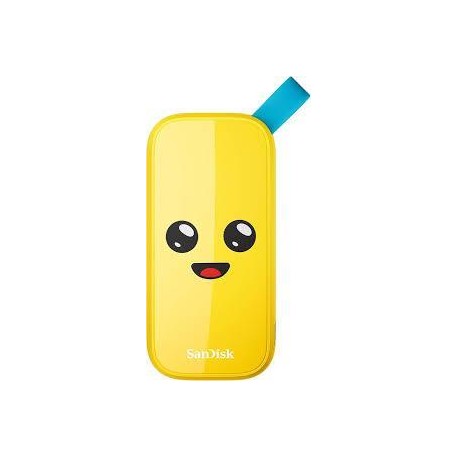 External SSD|SANDISK|2TB|USB 3.2|Read speed 800 MBytes/sec|SDSSDE30-2T00-G25F