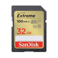 MEMORY SDHC 32GB UHS-1/SDSDXVT-032G-GNCIN SANDISK