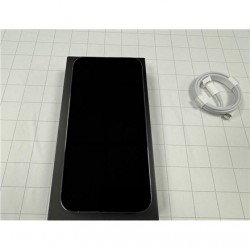 Apple REFURBISHED Grade B | Blue | 6.7 " | Super Retina XDR OLED | 2778 x 1284 pixels | Internal RAM 6 GB | 128 GB | Dual SIM | 