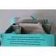 SALE OUT. Logitech Wireless Mouse M185, BLUE, 2.4GHZ - EWR2 | Logitech Wireless Mouse | Blue | DAMAGED PACKAGING