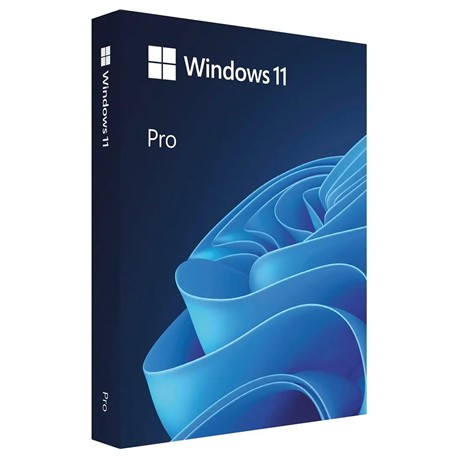 Microsoft Win Pro N FPP 11 Online Product Key License 1 License Downloadable NR | FWC-03370 | All Languages | ESD | 64-bit