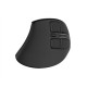 Natec Mouse Euphonie Pro BT 5.00, Wireless, Black