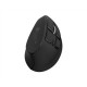 Natec Mouse Euphonie Pro BT 5.00, Wireless, Black