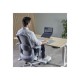 Fellowes Alumia Portable Laptop Stand - Silver | Fellowes