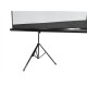 Elite Screens Tripod Portable Projection Screen | T84UWV1 | Diagonal 84 " | 4:3