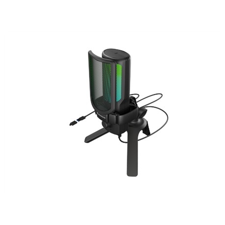 Natec | Microphone | GENESIS Radium 250 | Built-in microphone | USB Type-C | Black