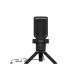 Natec | Microphone | GENESIS Radium 250 | Built-in microphone | USB Type-C | Black
