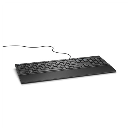 Dell KB216 | Multimedia | Wired | US/LT | Black | Numeric keypad
