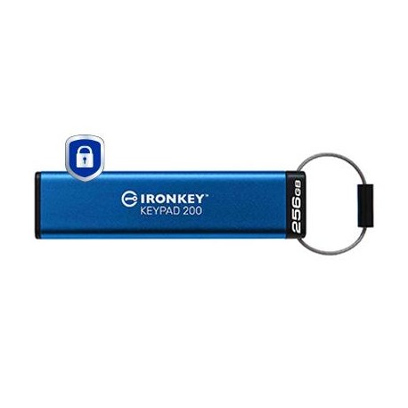 MEMORY DRIVE FLASH USB3.2/256GB IKKP200/256GB KINGSTON