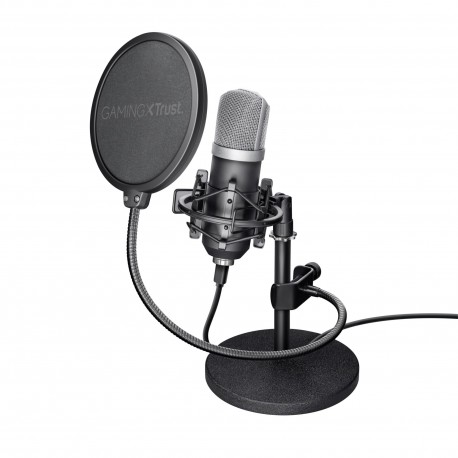 MICROPHONE GXT 252 EMITA/21753 TRUST