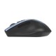 Asus WT425 MOUSE/GY-BL/ | Asus