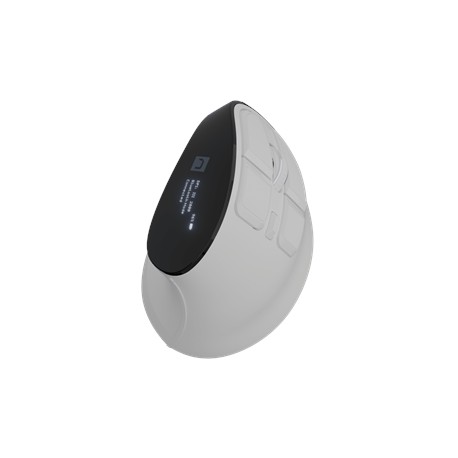 Natec Mouse | Euphonie Pro | Wireless | 2.4 GHz, Bluetooth | White