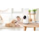 Reolink Smart Wi-Fi PT Indoor Security Camera | E331 | PTZ | 5 MP | F4mm/F1.6 | H.264 | Micro SD, Max. 512 GB