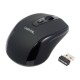 Logilink | Maus optisch Funk 2.4 GHz | wireless | 2.4GH wireless mini mouse with autolink | Black