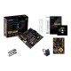 Asus | TUF GAMING A520M-PLUS | Processor family AMD | Processor socket AM4 | DDR4 | Memory slots 4 | Supported hard disk drive i