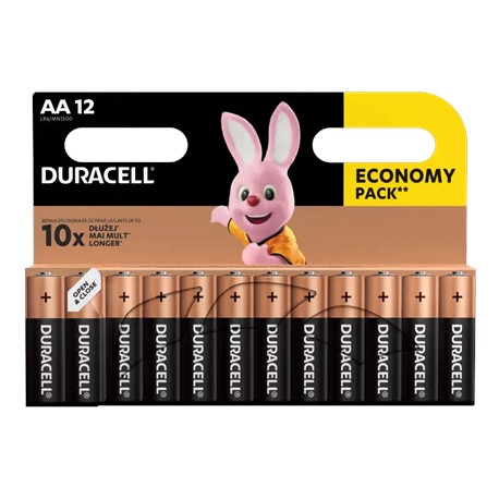 Duracell | Basic MN1500 BL12 | AA | 12 pc(s)