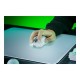 Razer Gaming Mouse | Viper V4 Pro Esports | Wireless | Razer HyperSpeed Wireless Gen-2, Wired | White