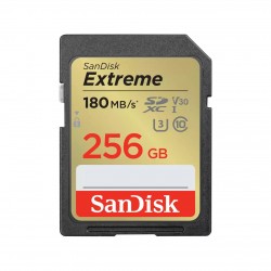 MEMORY SDXC 256GB UHS-1/SDSDXVV-256G-GNCIN SANDISK