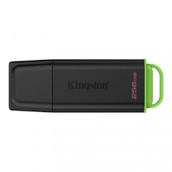 Kingston DataTraveler Exodia 256GB USB 3.2 Flash Drive