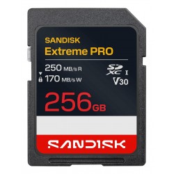 MEMORY SDXC 256GB UHS-1/SDSDXXJ-256G-GSCIN SANDISK
