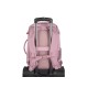 Natec Camel Lite | Fits up to size 15.6 " | Backpack | Pink