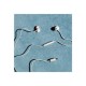 Sudio Earbuds | V3 | USB-C | In-ear | Microphone | Grey White