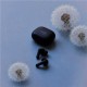 Sudio Earbuds | C8 | Bluetooth | Microphone | Black | Noise canceling | Noise reduction | Wireless