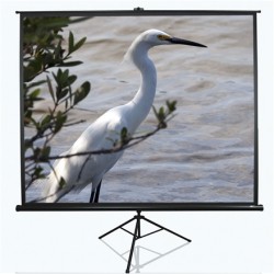 Elite Screens Tripod Series T120UWV1 Diagonal 120 " 4:3 Viewable screen width (W) 244 cm Black