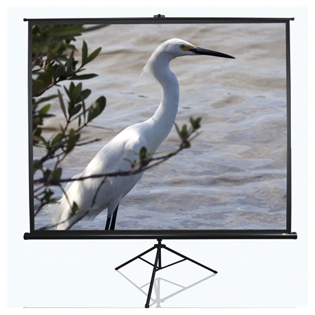 Elite Screens Tripod Series T120UWV1 Diagonal 120 " 4:3 Viewable screen width (W) 244 cm Black