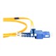 Digitus Yellow