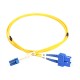 Digitus Yellow
