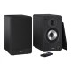 Sharp CP-SS30 Bookshelf Speakers, Black Sharp Speakers CP-SS30(BK) Bookshelf 60 W Wireless connection Black Bluetooth