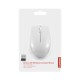 Lenovo 300 Wireless Compact Mouse (Cloud Grey) with battery Lenovo