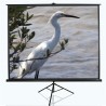 T120NWV1 | Tripod Series | Diagonal 120 " | 4:3 | Viewable screen width (W) 244 cm | White