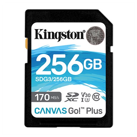 Kingston | Canvas Go! Plus | 256 GB | Flash memory class 10