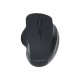 Gembird | Wireless Optical mouse | MUSW-6B-02 | Optical mouse | USB | Black