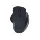 Gembird | Wireless Optical mouse | MUSW-6B-02 | Optical mouse | USB | Black