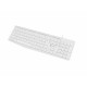 Natec | Keyboard | Nautilus NKL-1951 | Keyboard | Wired | US | White | USB Type-A | 390 g